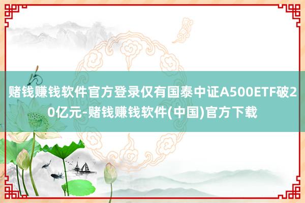 赌钱赚钱软件官方登录仅有国泰中证A500ETF破20亿元-赌钱赚钱软件(中国)官方下载
