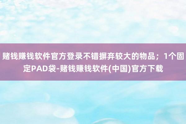 赌钱赚钱软件官方登录不错摒弃较大的物品；1个固定PAD袋-赌钱赚钱软件(中国)官方下载