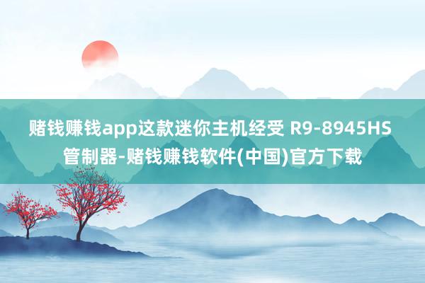 赌钱赚钱app这款迷你主机经受 R9-8945HS 管制器-赌钱赚钱软件(中国)官方下载