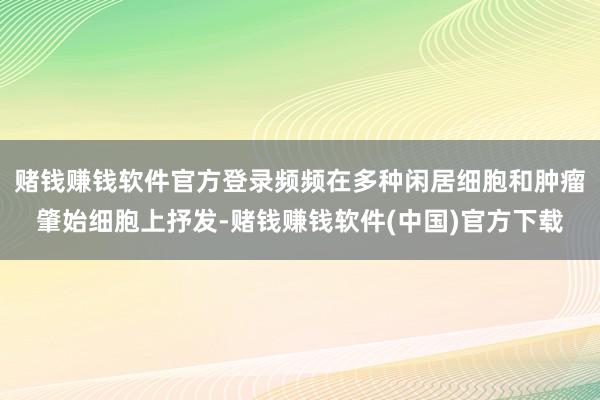 赌钱赚钱软件官方登录频频在多种闲居细胞和肿瘤肇始细胞上抒发-赌钱赚钱软件(中国)官方下载
