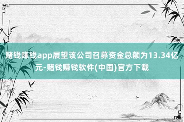 赌钱赚钱app展望该公司召募资金总额为13.34亿元-赌钱赚钱软件(中国)官方下载